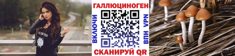 где найти   Чулым  MEGA ONION  маркетплейс наркотические препараты  Псилоцибиновые грибы прущие грибы 